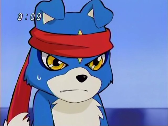 Gaomon